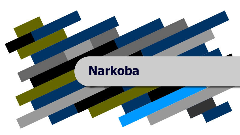 pengacara kasus narkoba